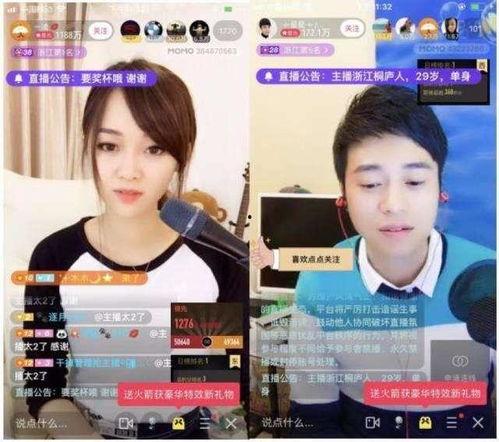 东北性爱直播,揭秘东北性爱直播的独特魅力