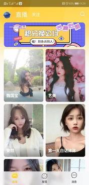 东北性爱直播,揭秘东北性爱直播的独特魅力