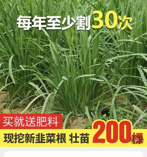吃瓜爆料11449,一场网络热议背后的真相