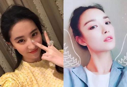 网红和明星的区别,网络时代下的身份差异解析