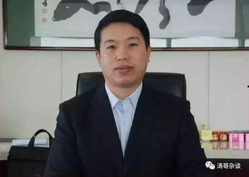 张智超,探索创新与变革的领军人物