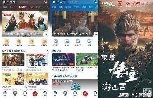 国产精品视频免费观看,免费观影盛宴