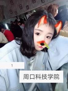 刘婷91直播,揭秘网红背后的真实生活