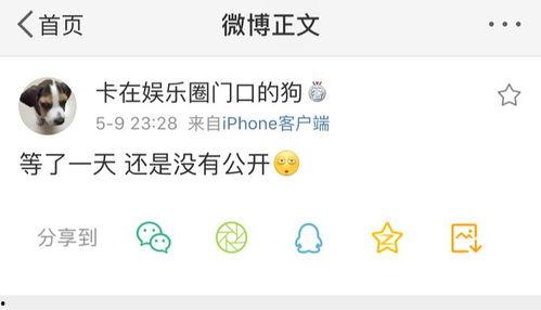 吃瓜爆料画画,揭秘娱乐圈幕后真相