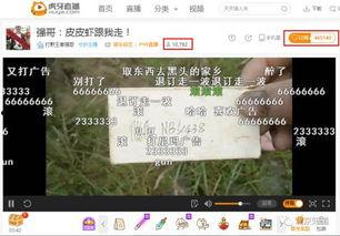 打野直播91,91版游戏风云录