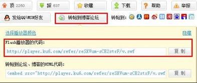 6080yy理论三级在线看短视频,三级在线短视频的奥秘解析