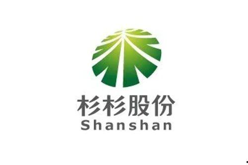 杉杉股份,绿色能源领域的领军者，创新驱动发展新篇章