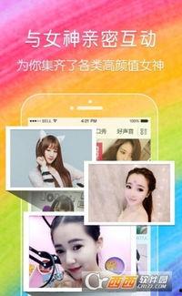 成人夜晚直播app,成人夜间直播APP全解析