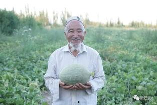 网红传播吃瓜群众,吃瓜群众紧跟步伐