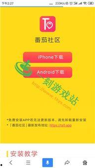 成人番茄app直播,成人世界里的精彩演绎