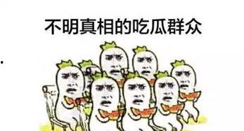 吃瓜群众今日吃瓜图片,揭秘吃瓜群众热传的神秘图片