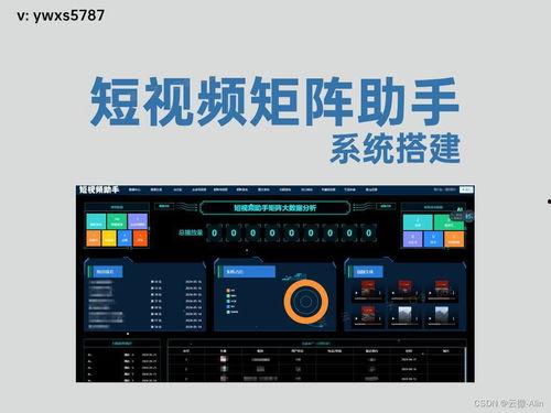 短视频矩阵,打造多元化内容生态圈