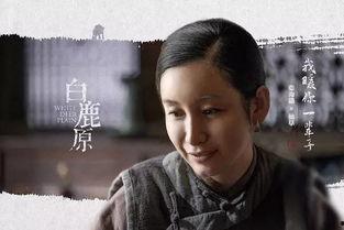 白鹿原电视剧,历史变迁中的家族传奇